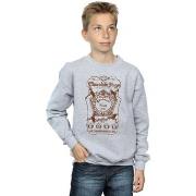 Sweat-shirt enfant Harry Potter BI19133