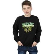 Sweat-shirt enfant Harry Potter BI19205