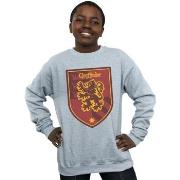 Sweat-shirt enfant Harry Potter Gryffindor