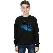 Sweat-shirt enfant Harry Potter BI19525