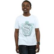 T-shirt enfant Harry Potter Slytherin