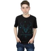 T-shirt enfant Harry Potter BI20784