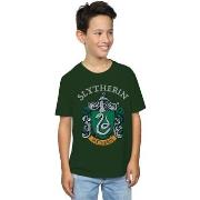 T-shirt enfant Harry Potter BI20861