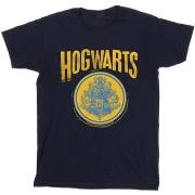 T-shirt enfant Harry Potter BI20939