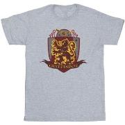 T-shirt enfant Harry Potter Gryffindor