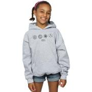 Sweat-shirt enfant Fantastic Beasts BI6654