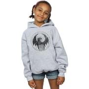 Sweat-shirt enfant Fantastic Beasts Distressed Magical Congress