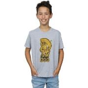 T-shirt enfant Scooby Doo BI33286