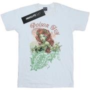 T-shirt enfant Dc Comics Poison Ivy Paisley