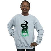 Sweat-shirt enfant Harry Potter BI19557