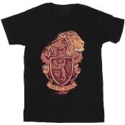 T-shirt enfant Harry Potter BI21244