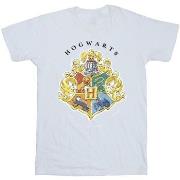 T-shirt enfant Harry Potter BI21321