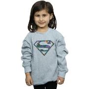 Sweat-shirt enfant Dc Comics BI15240