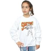 Sweat-shirt enfant Dc Comics BI15323