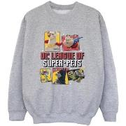 Sweat-shirt enfant Dc Comics DC League Of Super-Pets Profile