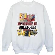 Sweat-shirt enfant Dc Comics DC League Of Super-Pets