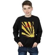 Sweat-shirt enfant Dc Comics BI16897