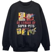 Sweat-shirt enfant Dc Comics DC League Of Super-Pets