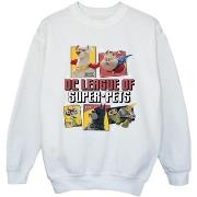 Sweat-shirt enfant Dc Comics DC League Of Super-Pets