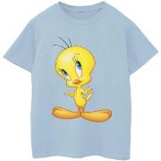 T-shirt enfant Dessins Animés Tweety Standing