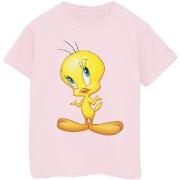 T-shirt enfant Dessins Animés BI24307