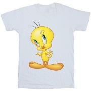 T-shirt enfant Dessins Animés Tweety Standing