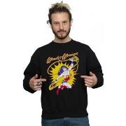 Sweat-shirt Dc Comics BI19601