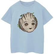 T-shirt enfant Marvel I Am Groot