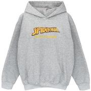 Sweat-shirt enfant Marvel Spider-Man AKA Peter Parker