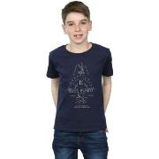 T-shirt enfant Dessins Animés Bugs Bunny A Wild Hare