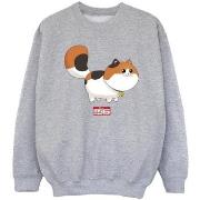 Sweat-shirt enfant Disney Big Hero 6