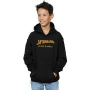 Sweat-shirt enfant Marvel AKA Peter Parker