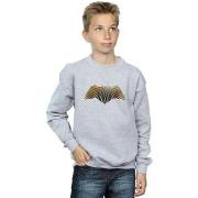 Sweat-shirt enfant Dc Comics Justice League