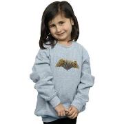 Sweat-shirt enfant Dc Comics Justice League