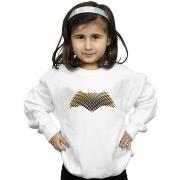 Sweat-shirt enfant Dc Comics Justice League