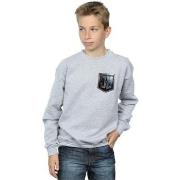 Sweat-shirt enfant Dc Comics Justice League