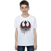 T-shirt enfant Disney The Last Jedi