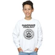 Sweat-shirt enfant Marvel Guardians Of The Galaxy Vol. 2 Distressed Se...