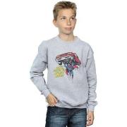 Sweat-shirt enfant Dc Comics New Ride