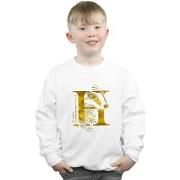 Sweat-shirt enfant Harry Potter BI19719