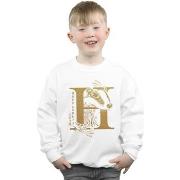 Sweat-shirt enfant Harry Potter Hufflepuff