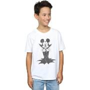 T-shirt enfant Disney Dracula