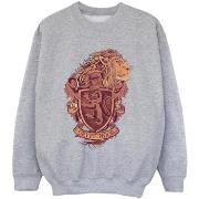 Sweat-shirt enfant Harry Potter Gryffindor