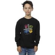 Sweat-shirt enfant Harry Potter Emblems H Spray