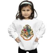 Sweat-shirt enfant Harry Potter BI20447