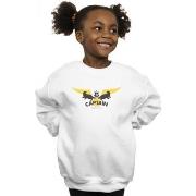 Sweat-shirt enfant Harry Potter BI20536