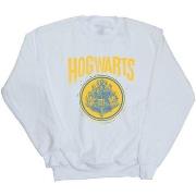 Sweat-shirt enfant Harry Potter BI20705