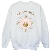 Sweat-shirt enfant Harry Potter BI20780