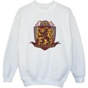 Sweat-shirt enfant Harry Potter BI20888