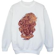 Sweat-shirt enfant Harry Potter Gryffindor